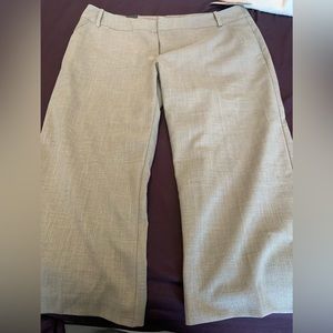 Grey flat front cropped wide leg